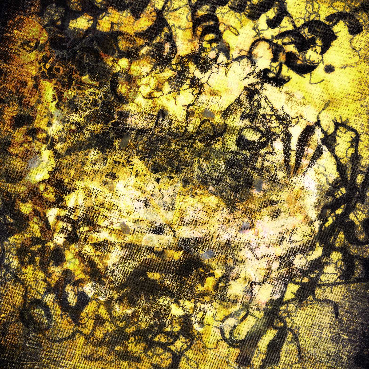 Enterobacteriophage - S/T (Cover)