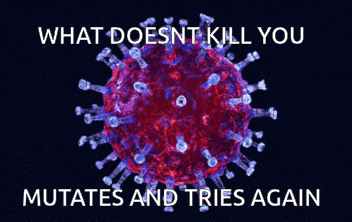 What Doesn't Kill You, Mutates and Tries Again